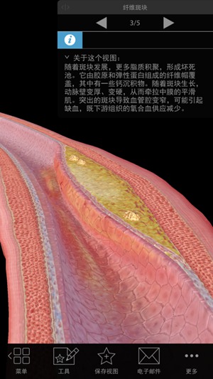 生理和病理学app安卓下载