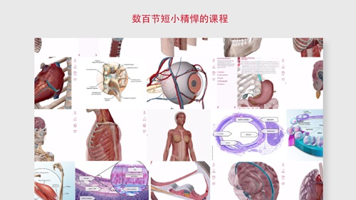 解剖和生理学app安卓