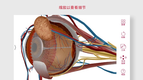 解剖和生理学