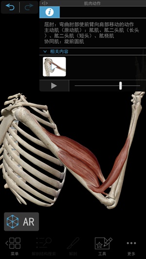 肌肉与运动机能学app免费版下载