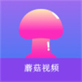 蘑菇视频app下载安装下载