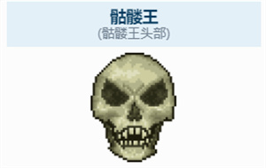 泰拉瑞亚服装商巫毒娃娃怎么使用