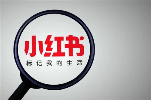 小红书开店流程及费用 小红书开店流程及费用标准 小红书
