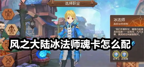 风之大陆冰法师魂卡怎么配