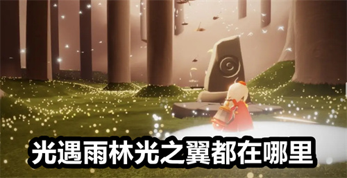光遇雨林光之翼都在哪里