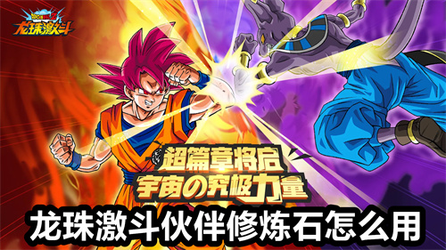 龙珠激斗伙伴修炼石怎么用