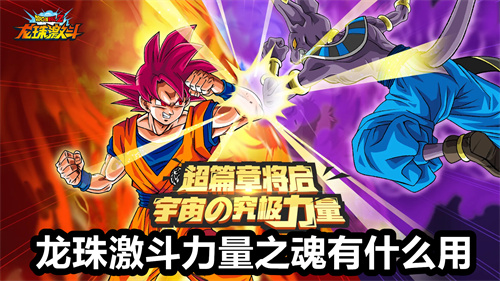龙珠激斗力量之魂有什么用
