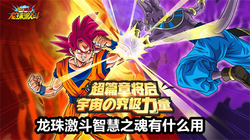 龙珠激斗智慧之魂有什么用