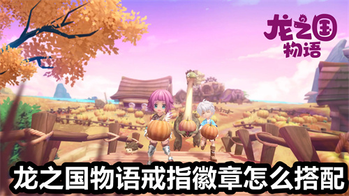 龙之国物语戒指徽章怎么搭配