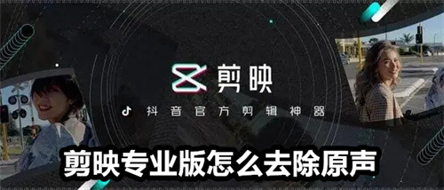 剪映专业版怎么去除原声